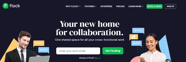 Flock is one of the online collaboration software