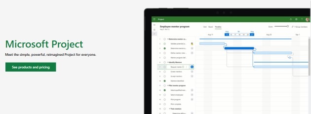 MS project is a simple marketing project management software