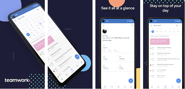 Teamwork is a project management app