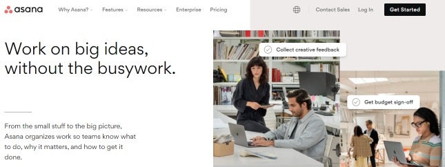 Asana is used for managing team workflow