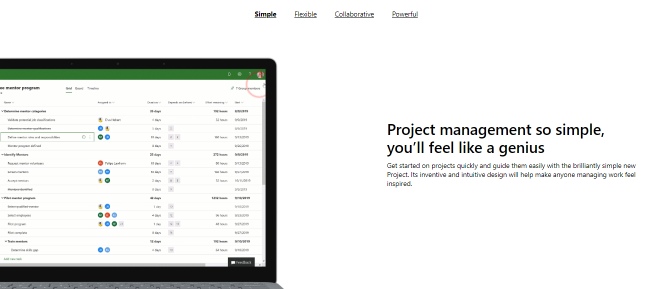 Microsoft project is an online project planning tool