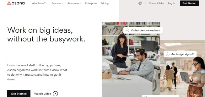 Asana is a a software for web development project management