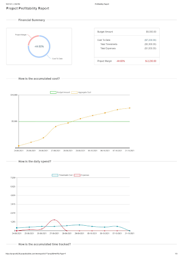 Project profitability reports